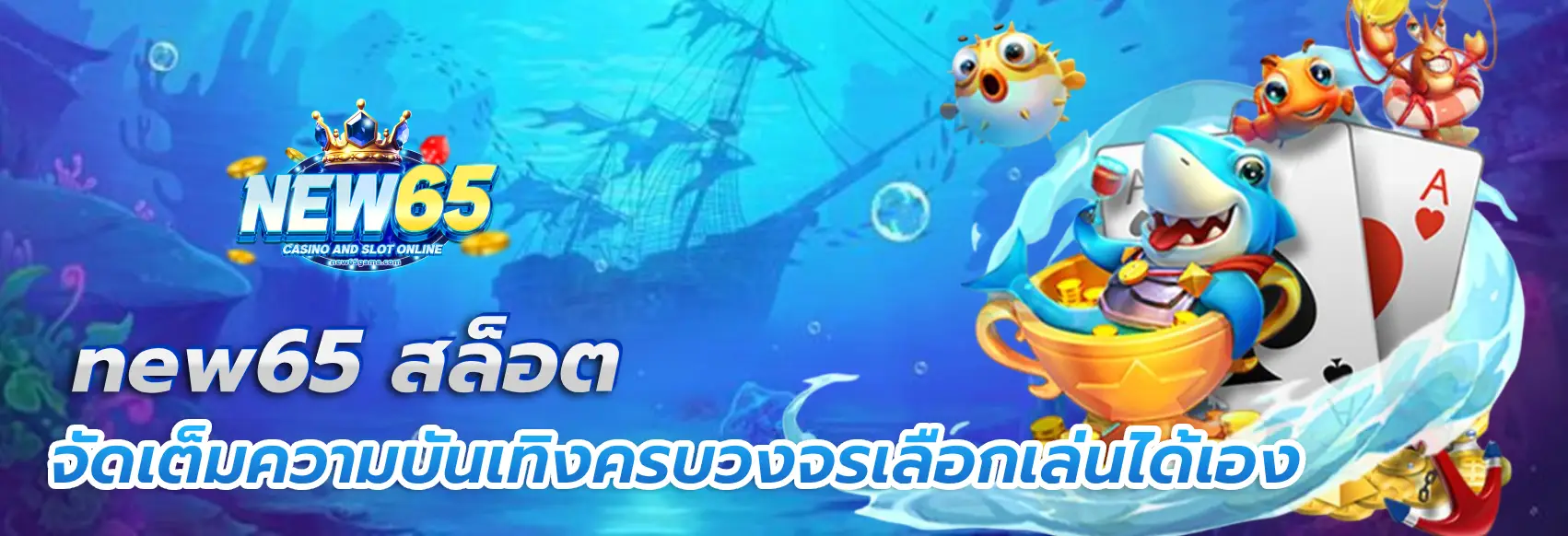 new65
